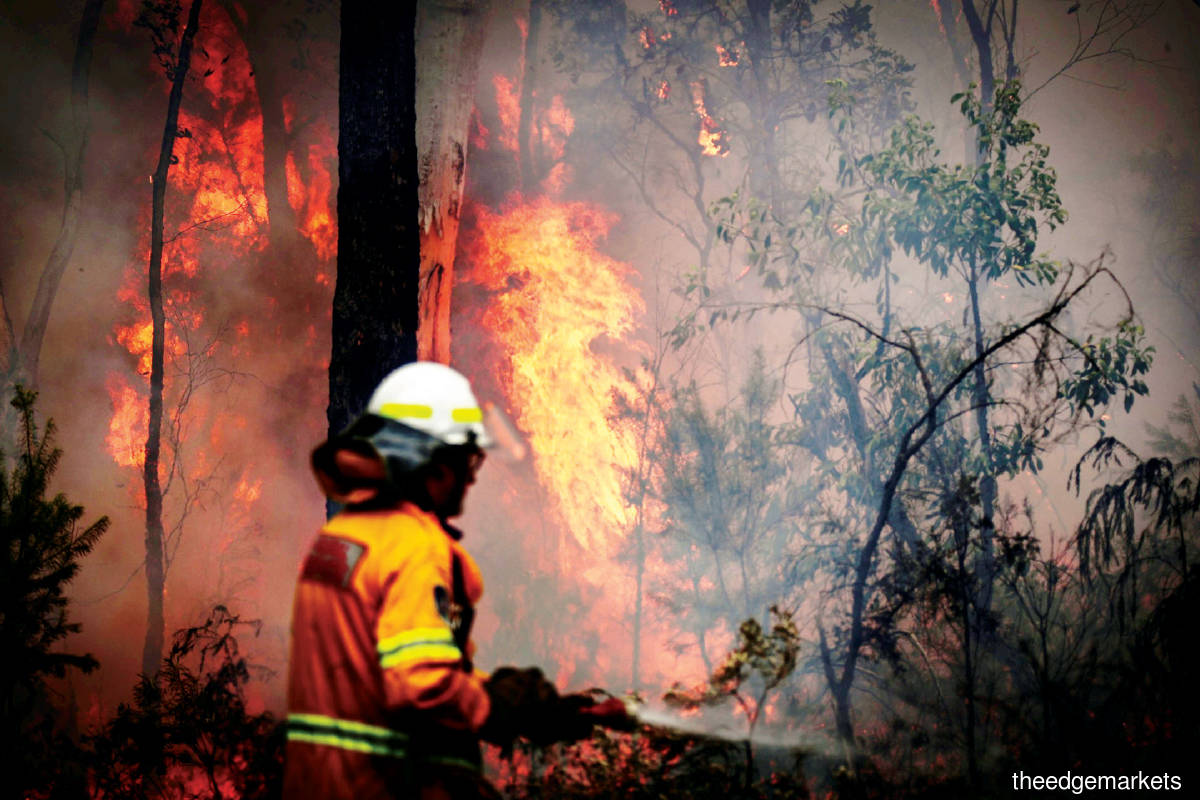 Raging fires in Australia: Climate change is one of the hottest segment of technology. (Photo by Bloomberg)